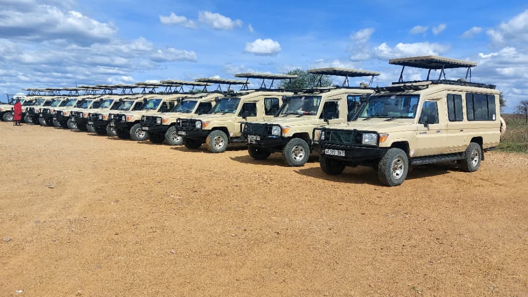TANZANIA SAFARIS