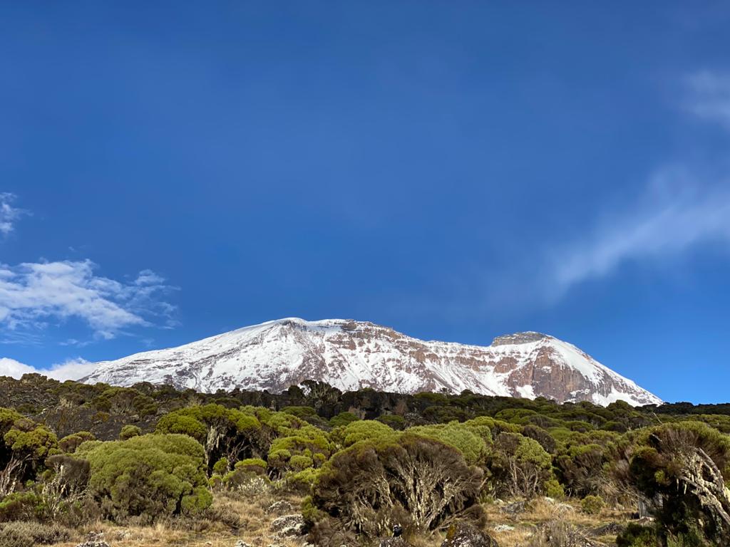 BEST TIME TO TREK KILIMANJARO