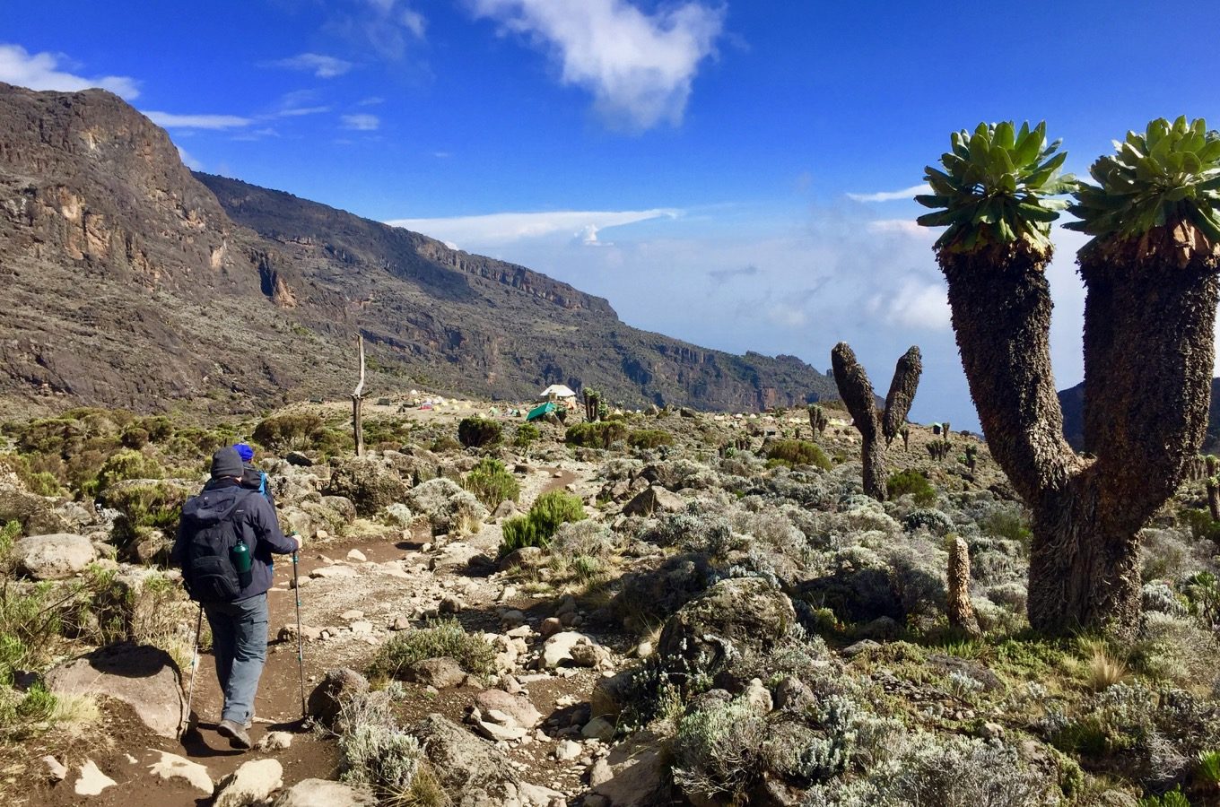 6 DAYS MACHAME ROUTE KILIMANJARO