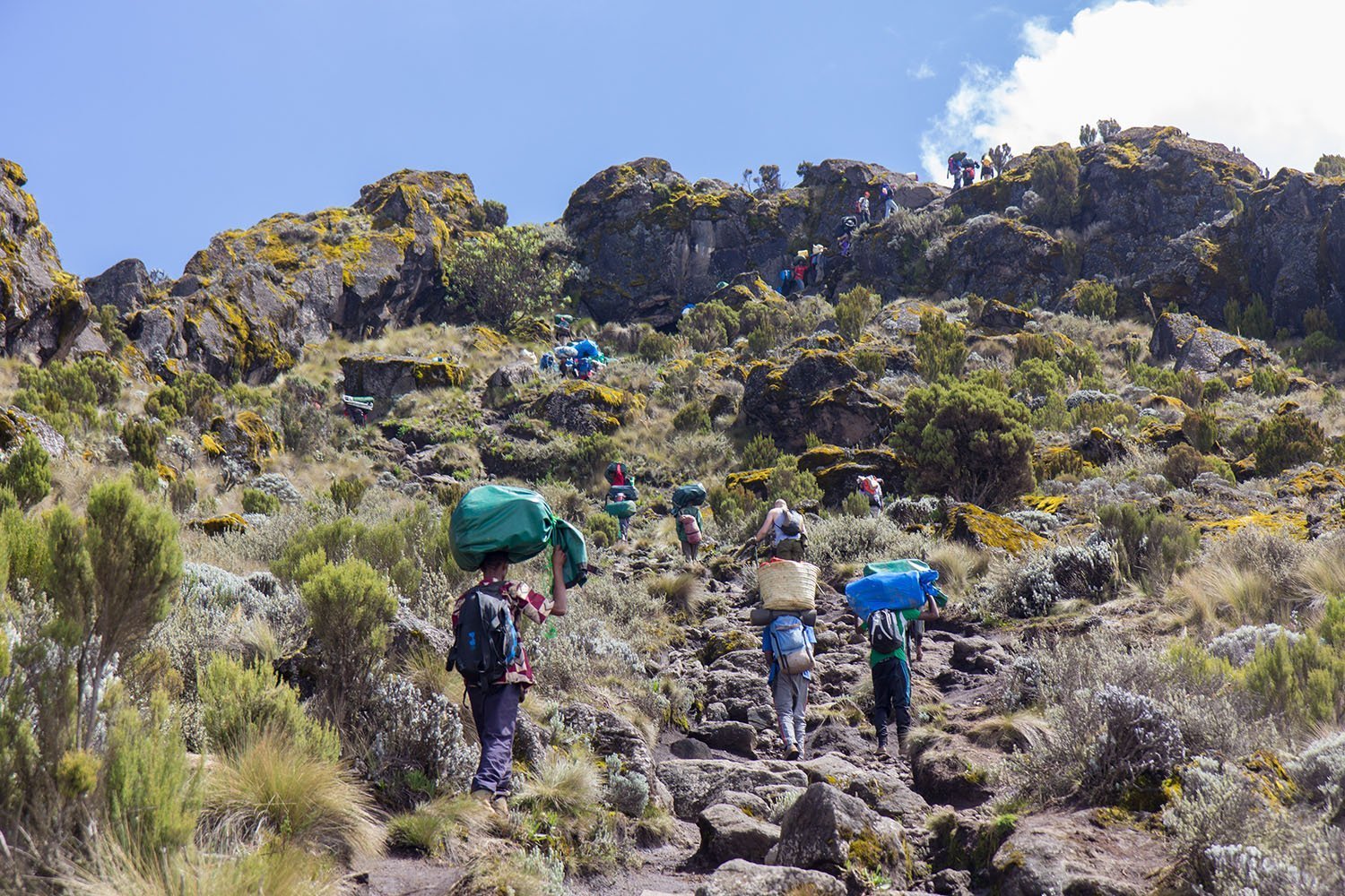 6 DAYS RONGAI ROUTE KILIMANJARO